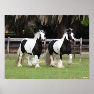 Poster Bob Langrish   Deux vannières tziganes noires et 