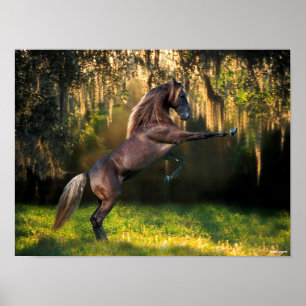 Poster Bob Langrish   Élevage de Chevaux de montagne Rock