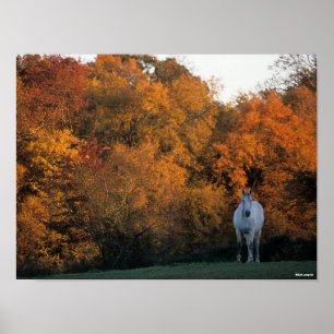 Poster Bob Langrish Gray Warmblood Horloge debout Automne