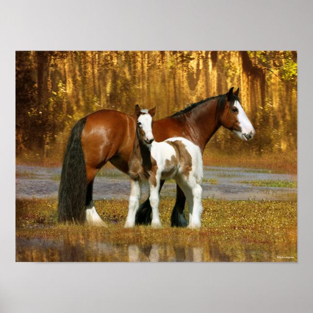 Poster Bob Langrish | Gypsy Vanner Mare et Foal Imaginair (Devant)