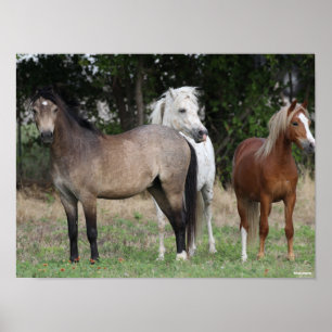Poster Bob Langrish   Trois Ponts Se Regroupent