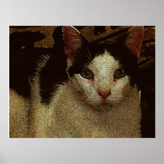 Poster Bob le Sérieux