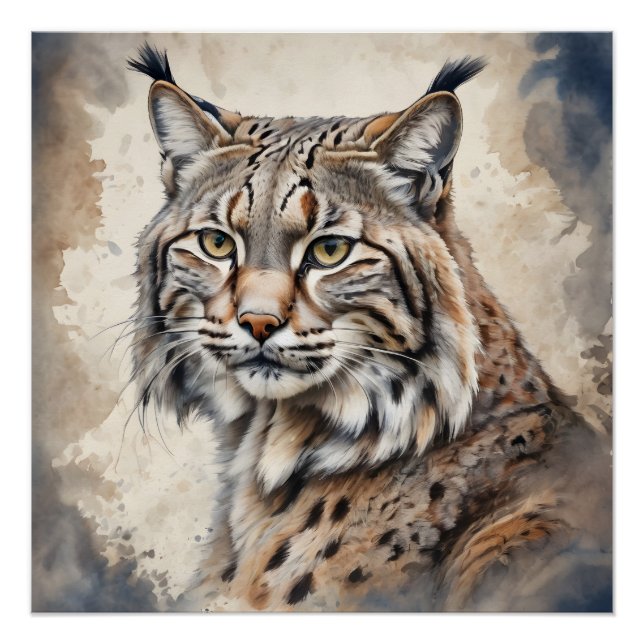 Poster Bobcat no 6 (Devant)