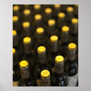 Poster Bodega Marques de Riscal, bouteilles de vin