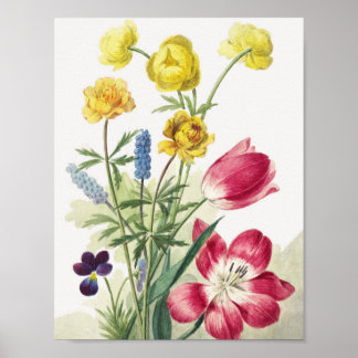 Poster Boeket van tulpen, viooltjes, blauwe druifjes