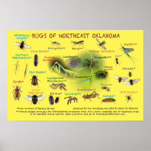 Poster bogues de l'affiche du nord-est de l'Oklahoma 19p