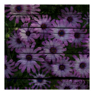 Poster Bohème Western Country Barn Board marguerite viole