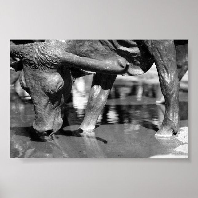 Poster Boire Longhorn (Devant)