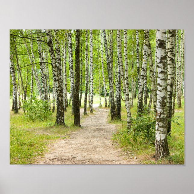 Poster Bois (Devant)