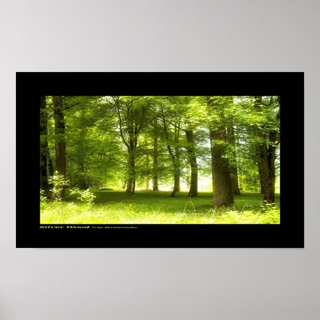 Poster Bois argenté (Devant)