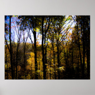 Poster Bois d'automne