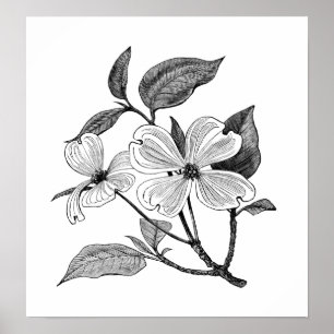 Poster Bois de chien