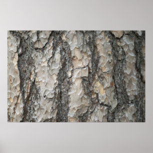Poster Bois de pin d'écorce