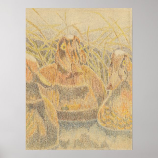 Poster Bois Duck Decoys sur l'étang (Devant)