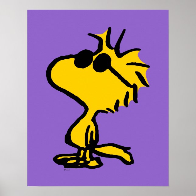 Poster Bois En Lunettes De Soleil (Devant)