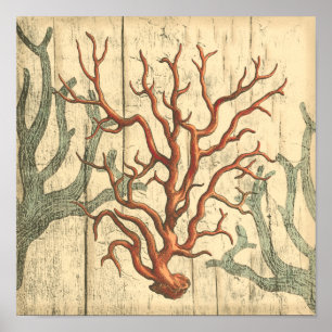 Poster Bois et petit corail