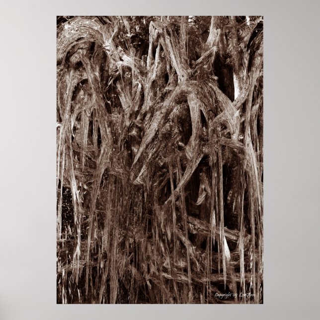 Poster Bois fondu (Devant)