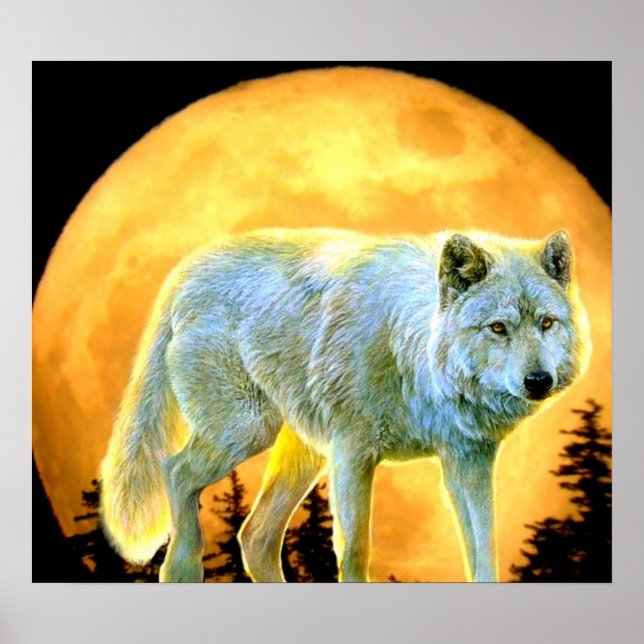 Poster bois forêt lune lumière lune loup de lune (Devant)