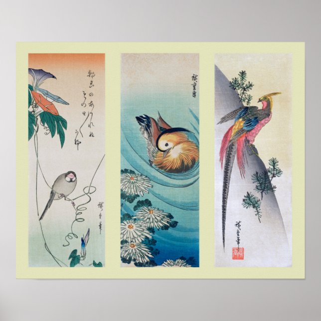 Poster Bois japonais (Devant)