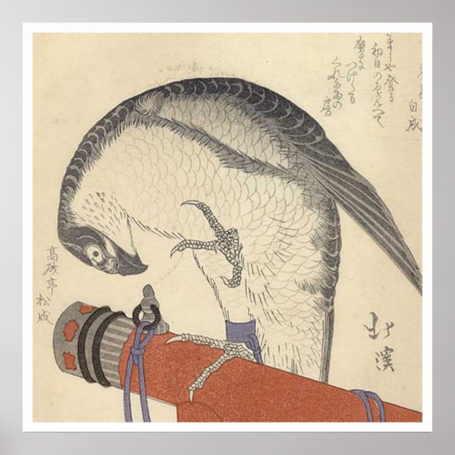 Poster Bois japonais (Devant)