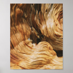 Poster bois texture motif nature ancienne