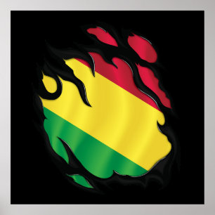 Poster Bolivie déchiré le drapeau