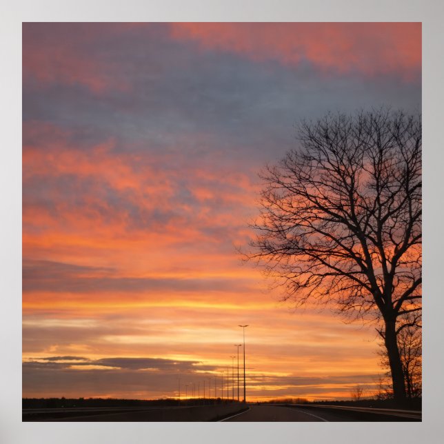 Poster Bolso (Devant)