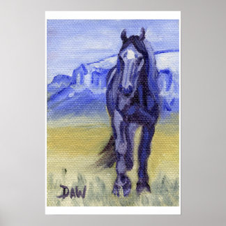 Poster Bolthar dans le Montana