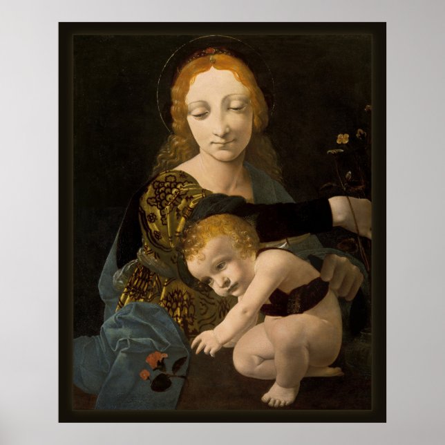 Poster Boltraffio Madonna de l'affiche du rose CC0335 XL (Devant)