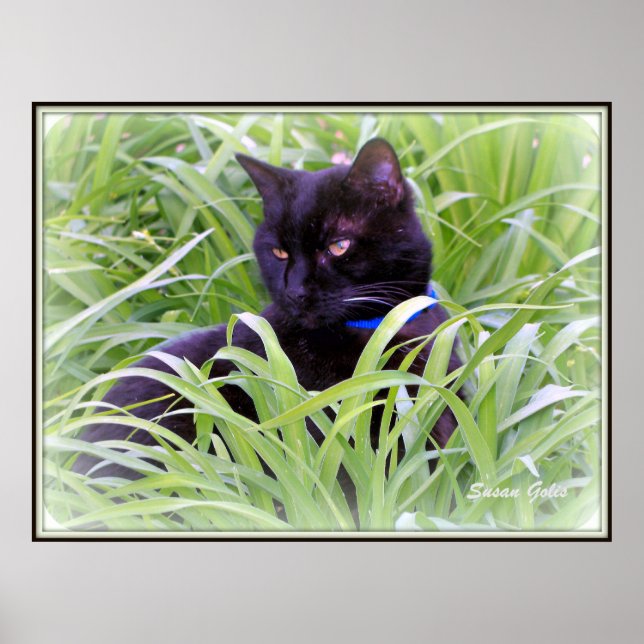 Poster Bombay Black Cat Print (Devant)