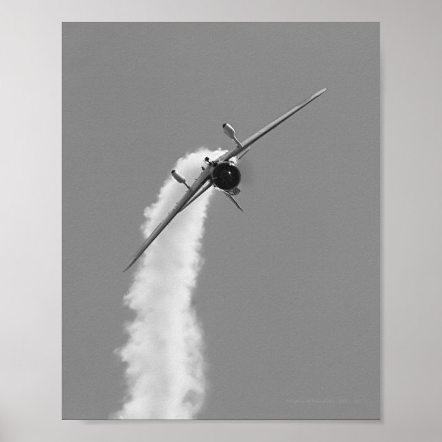 Poster Bombe de plongée Aichi D3A de la marine japonaise (Devant)