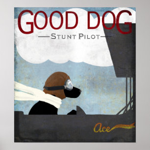 Poster Bon pilote de cascade de chien - vol de chien noir