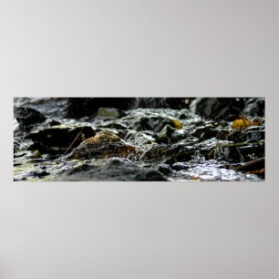 Poster Bond Falls - Upper Peninsula