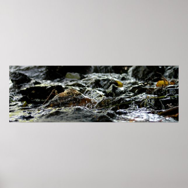 Poster Bond Falls - Upper Peninsula (Devant)