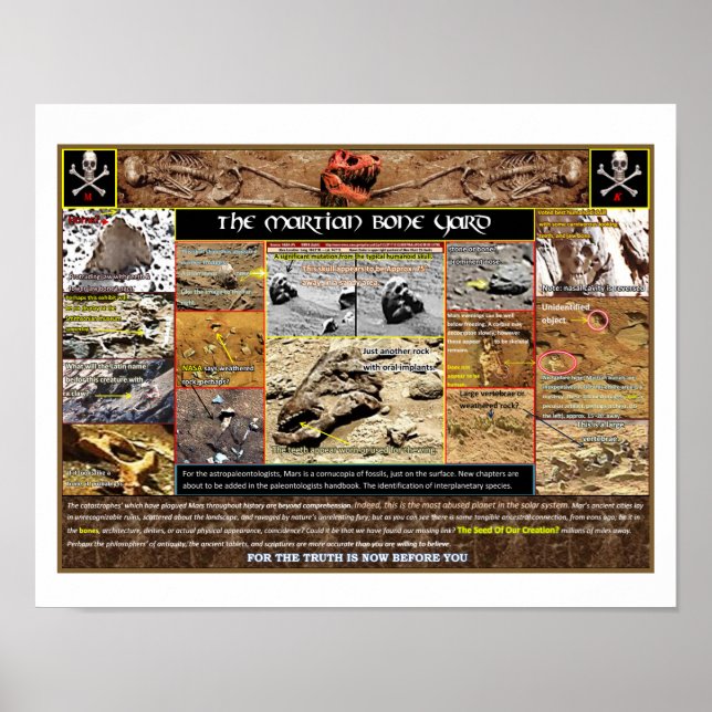 Poster Boneyard de Mar (Devant)