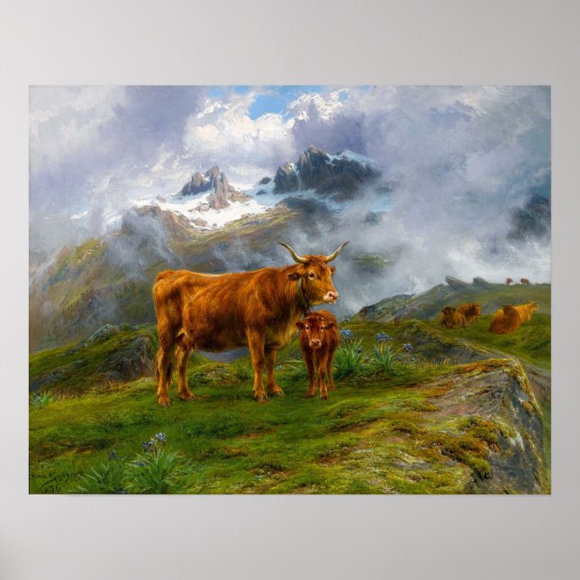 Poster Bonheur - Bovins des Highlands (Devant)