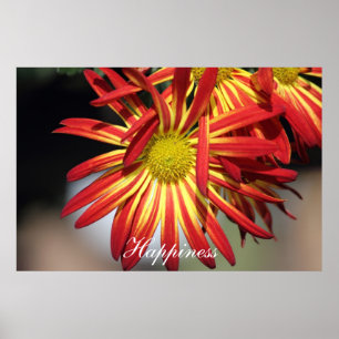 Poster Bonheur de motivation