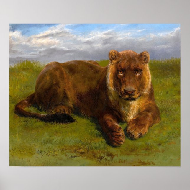 Poster Bonheur - Lionne posant (Devant)