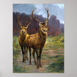 Poster Bonheur - Monarques De La Forêt