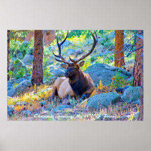 Poster Bonjour à Noël Mon ami