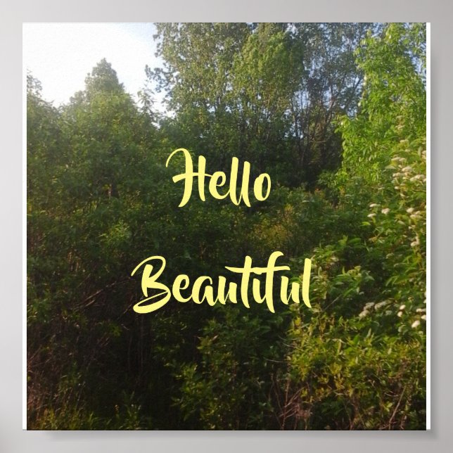 Poster Bonjour belle (Devant)