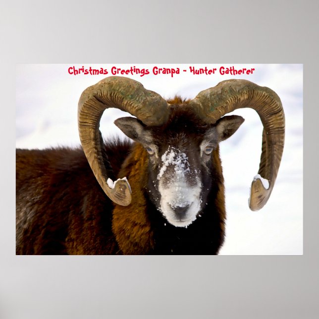 Poster Bonjour Noël Grand-père Hunter Gatherer (Devant)