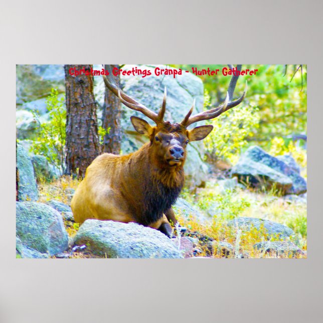 Poster Bonjour Noël Grand-père Hunter Gatherer (Devant)