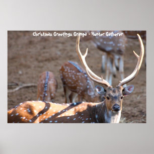 Poster Bonjour Noël Grand-père Hunter Gatherer