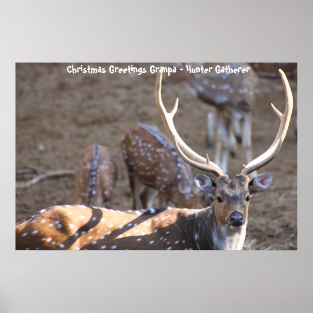 Poster Bonjour Noël Grand-père Hunter Gatherer (Devant)