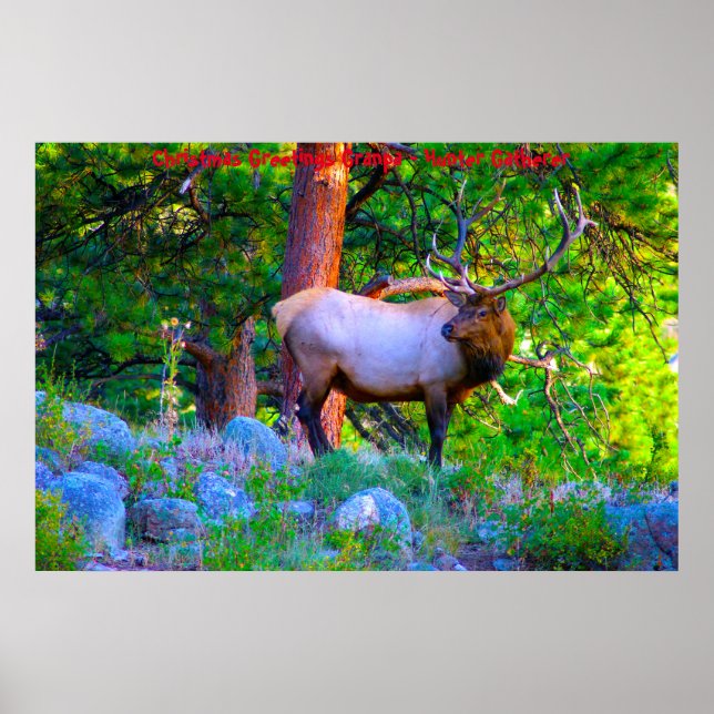 Poster Bonjour Noël Grand-père Hunter Gatherer (Devant)