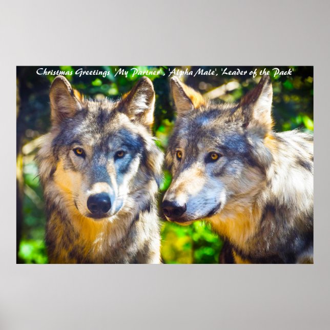 Poster Bonjour Noël Leader du Pack (Devant)