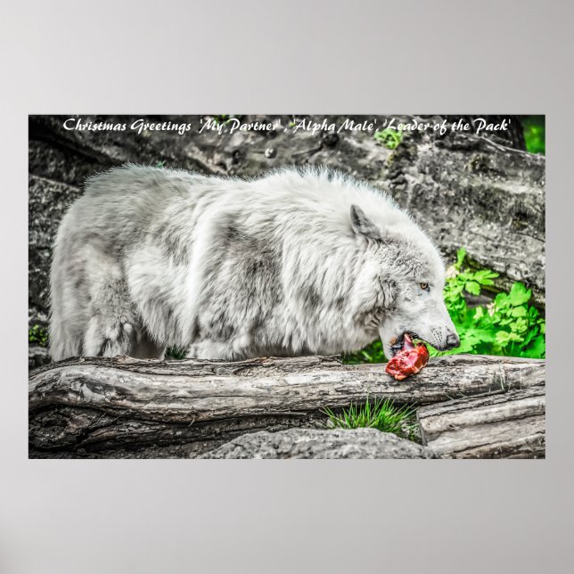 Poster Bonjour Noël Leader du Pack (Devant)