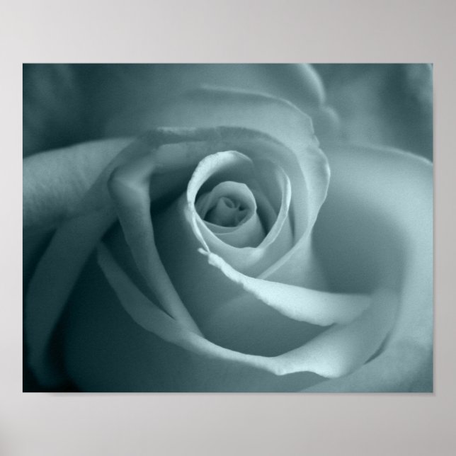 Poster Bonjour Rose (Devant)