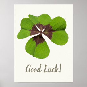 Poster Bonne chance Lucky Charm 4 feuilles de trèfle Cad